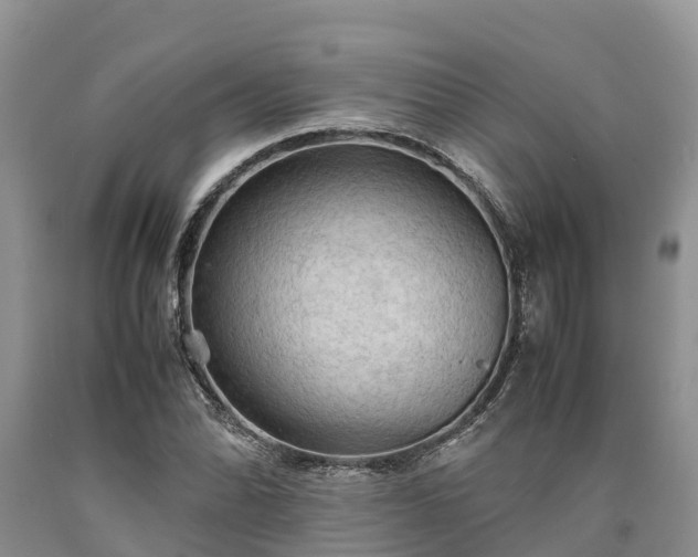 X0000090621070200707241124