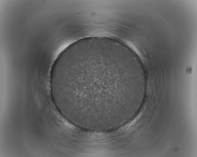 X0000090621071200707241124