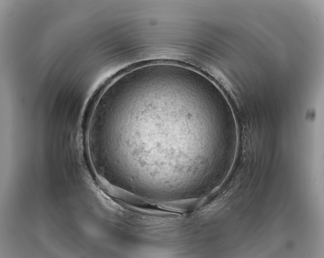 X0000090621072200707241124