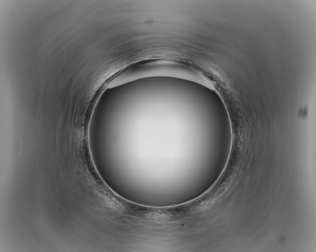 X0000090621073200707241124