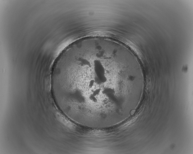 X0000090621075200707241124