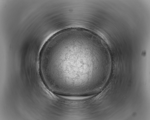 X0000090621076200707241124
