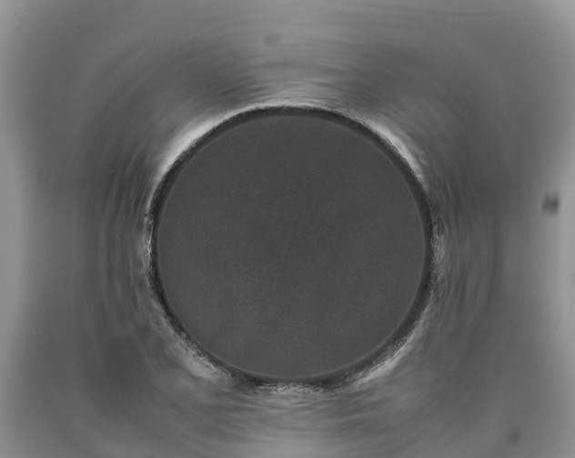 X0000090621077200707241124