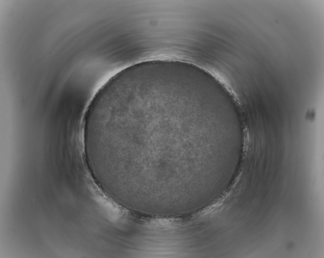 X0000090621078200707241124