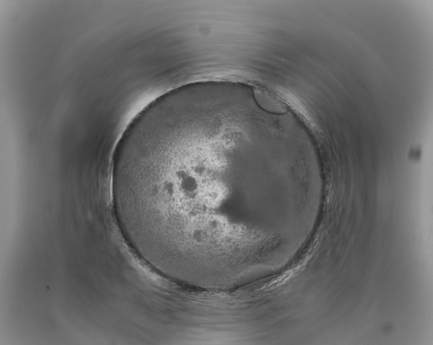 X0000090621079200707241124