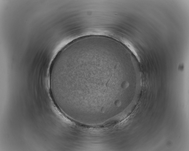 X0000090621080200707241124