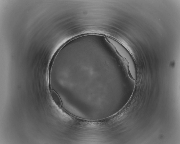 X0000090621084200707241123