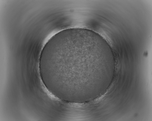 X0000090621086200707241123