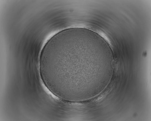 X0000090621088200707241123