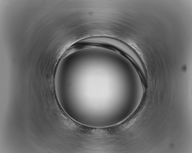 X0000090621089200707241123