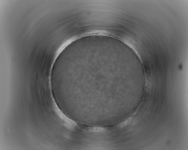 X0000090621090200707241123