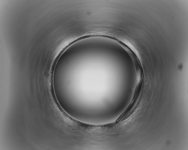 X0000090621093200707241123