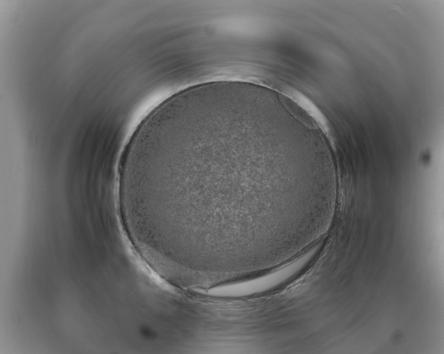 X0000090621096200707241123
