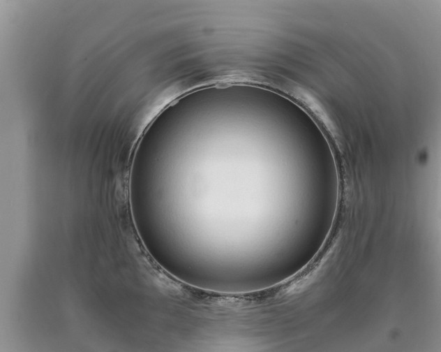 X0000090621097200707241123