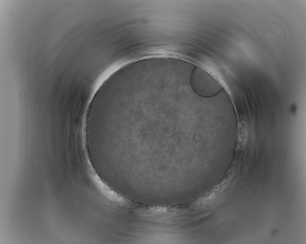 X0000090621098200707241123
