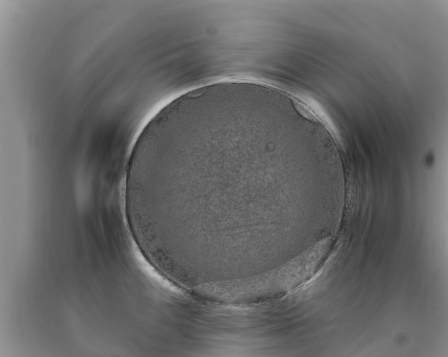 X0000090621100200707241123