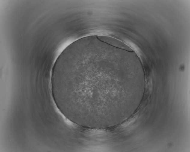 X0000090621103200707241123