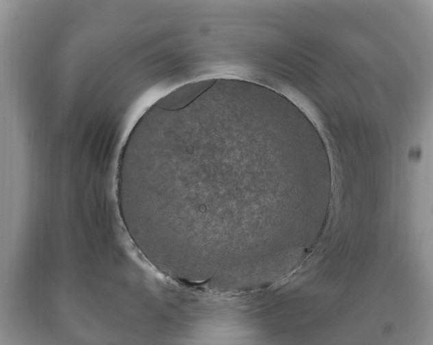 X0000090621104200707241123