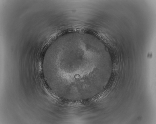 X0000090621106200707241122