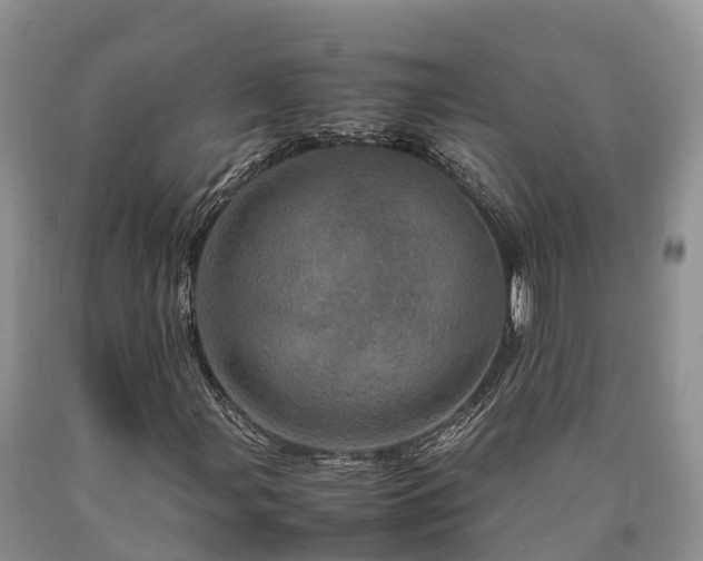 X0000090621107200707241122
