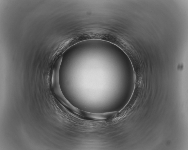 X0000090621108200707241122
