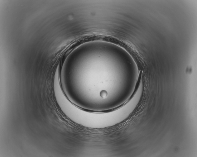 X0000090621110200707241122