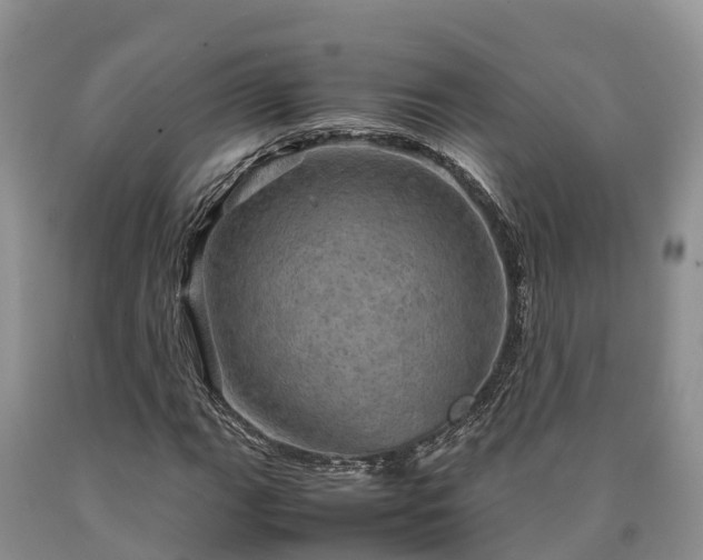 X0000090621111200707241122