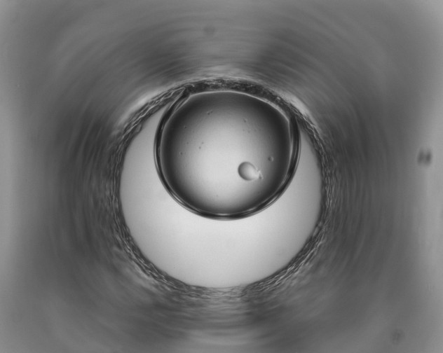 X0000090621112200707241122