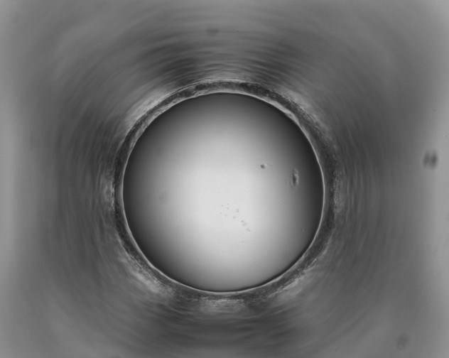 X0000090621113200707241122