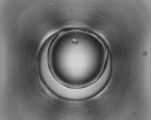 X0000090621114200707241122