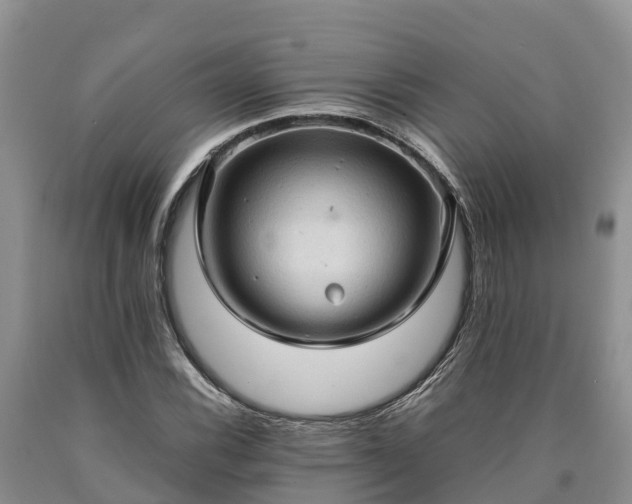 X0000090621116200707241123