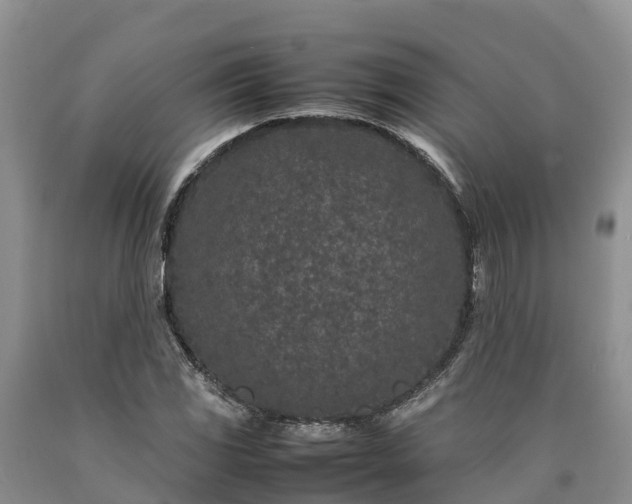 X0000090621117200707241123