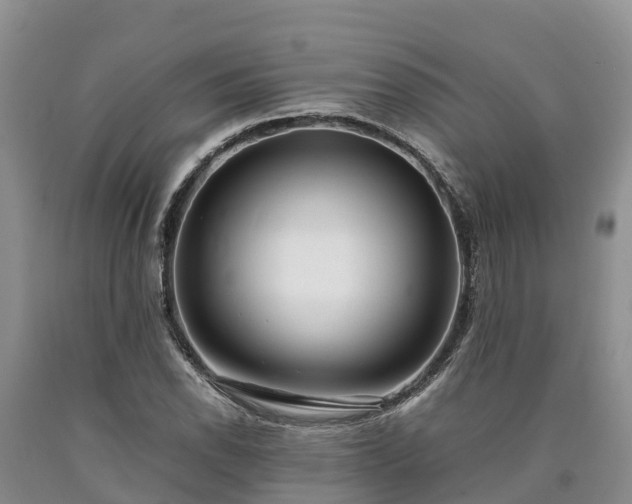 X0000090621118200707241123