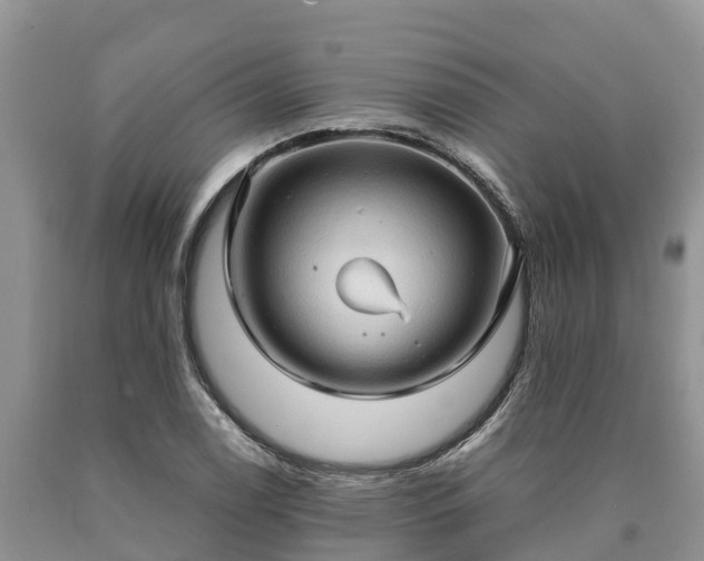 X0000090621122200707241123