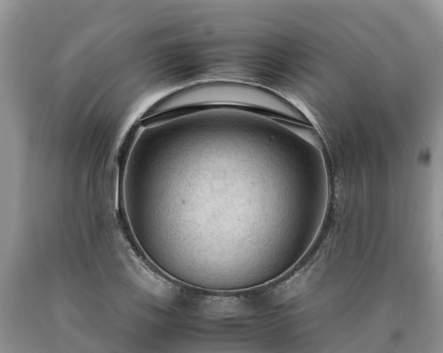 X0000090621123200707241123