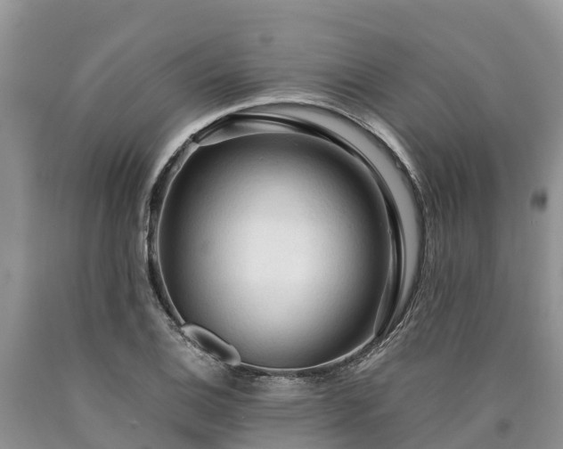X0000090621124200707241123