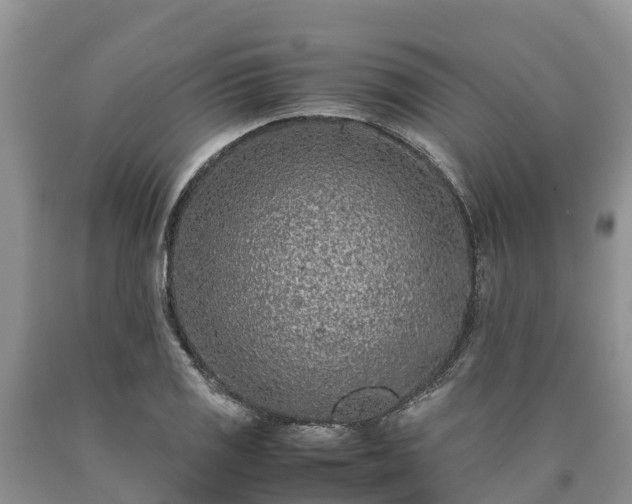 X0000090621125200707241123