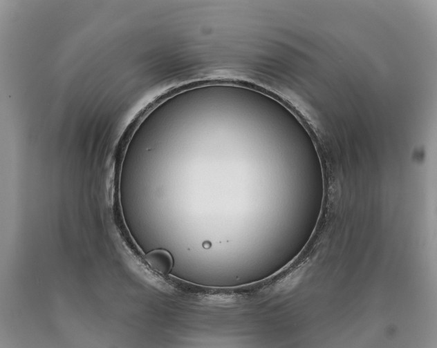 X0000090621126200707241123