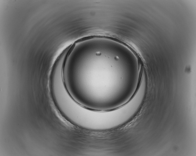 X0000090621128200707241123