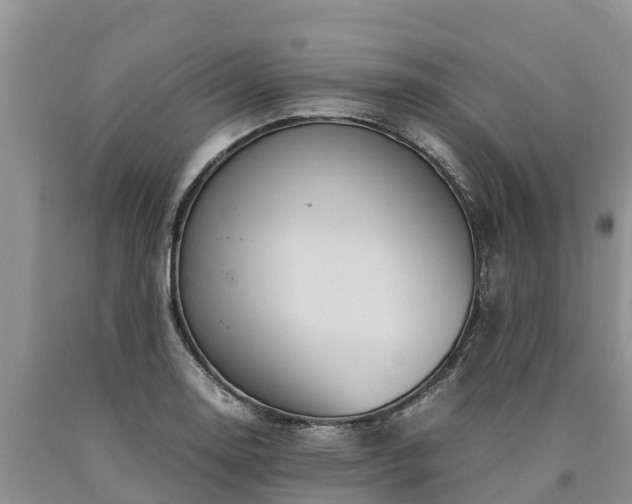 X0000090621130200707241123