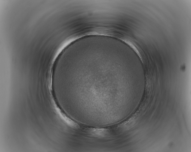 X0000090621131200707241123