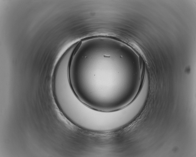 X0000090621132200707241123