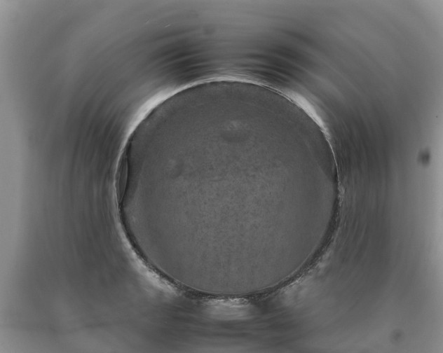 X0000090621133200707241123
