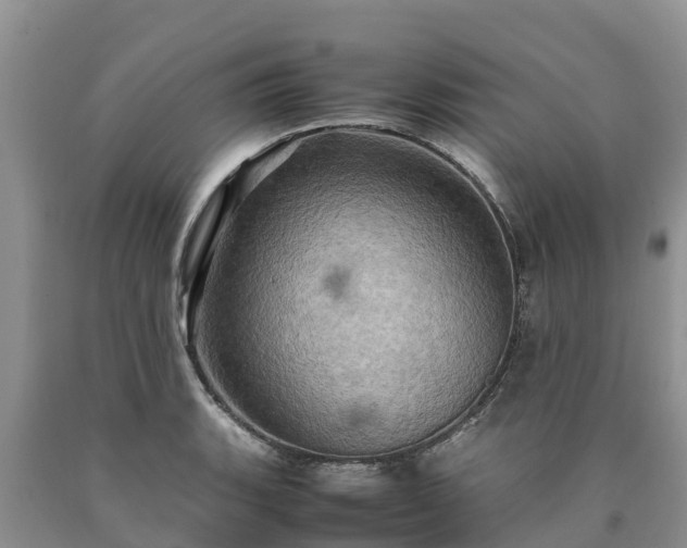 X0000090621135200707241123