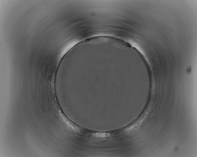 X0000090621137200707241123