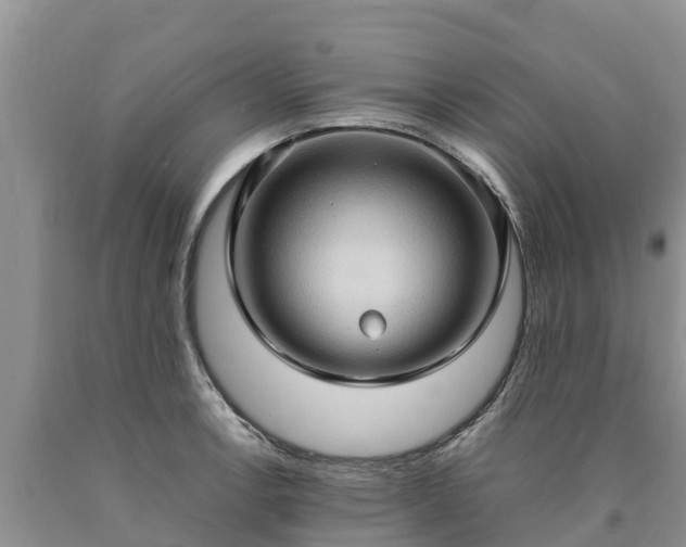 X0000090621138200707241123