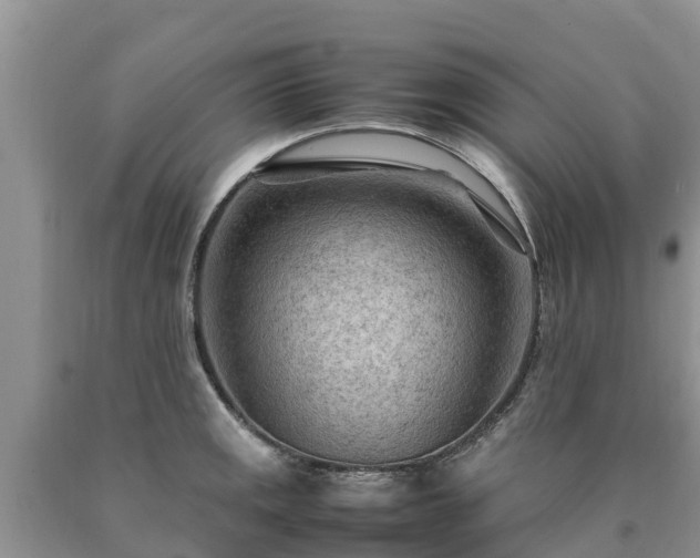 X0000090621141200707241123