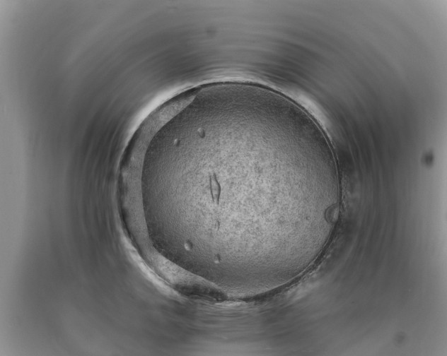 X0000090621142200707241123