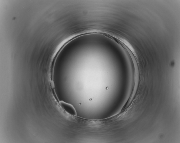 X0000090621148200707241123