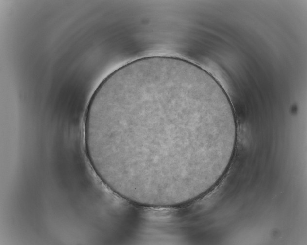 X0000090621150200707241123